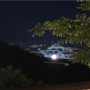 왕생종 유공자 감사장 전달 이미지
