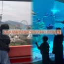사천대로 | 경남 사천 아이랑 가기 좋은 곳 사천 케이블카 아라마루 아쿠아리움 통합권 이용 후기