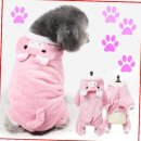 황금애견 이미지