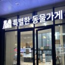 특별한 동물가게 이미지