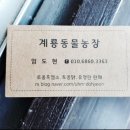 논산흑염소