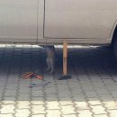 1급정비사의집 이미지