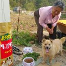 대포동주민센터 이미지