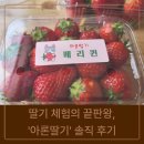 아론 | [충주 아이와 가볼 만한 곳] 딸기 체험의 끝판왕, '아론딸기' 솔직 후기