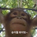 박만두