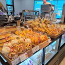 도도리파크(실내) 이미지