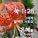 은혜제일교회 이미지