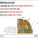 선진라이트 이미지