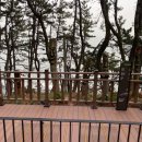 청사포정거장 이미지