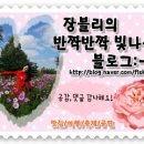장산초등학교 주변 이미지