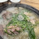 석산오리 이미지