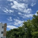 6월둘째주 (22.6.6-6.12)