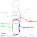 Personal Training GYM 이미지