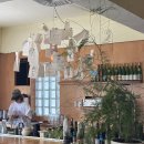 썬하우스 이미지