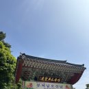 소서 | 경주여행 부처님오신날 불국사 석굴암 100년 가옥 카페 보우하사 고즈넉 감성 웨이팅 주차팁