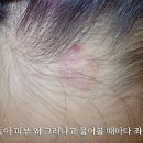하나로양정 이미지