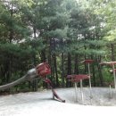 김송필 희망의향기 이미지