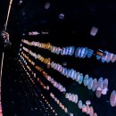 2025년 올해의 독일 자연 사진작가협회 자연 사진작가상 수상작 발표 이미지