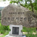 자연송림 이미지