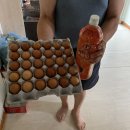 (주)대경축산