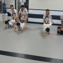 캐슬 아카데미 태권도 네이버블로그