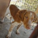 천현초등학교 사거리 이미지