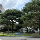 애견호텔 나무야 | [경주] 경주 키녹 애견 동반 호텔_디럭스 B 객실 후기_강아지와 함께 편하게 쉴 수 있는 키녹!