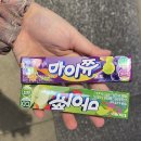 Day6 월드투어 인스파이어 아레나 막콘 스탠딩 사진 312장 후기✨ (콘서트는 무조건 막콘인 이유)