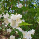 류인석 선생 묘역  이미지