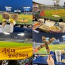 乙巳年과 天網恢恢(천망회회) 疎而不失(소이불실) 이미지