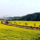 낙동강체육공원 야구장 이미지