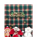 스파 앤 컷 이미지