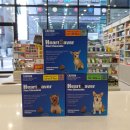 그린동물약국 이미지