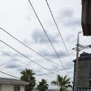 모래 민박 이미지