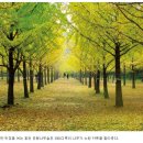 봉소리에 하루 이미지