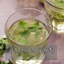 페퍼민트 이미지