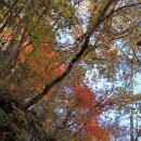 신라복지회 | 홍천 수타사의 단풍산행