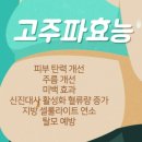 온열에빠지다