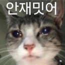 마감 2분전