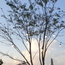 역삼플러스공인중개사사무소 이미지