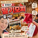 한정선 더현대서울 디저트 후기, 딸기모찌 두바이 망고요거트 찹쌀떡 종류별 비교
