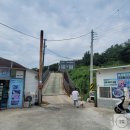 개올나잇 | 부산 가덕도 애견카페 개올나잇 오션뷰 있는 강아지 놀이터