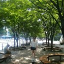 동방모터스 | 전동퀵보드 대여, 화곡역 1번출구 / 오벨모터스 전동킥보드로 신나는 데이트!!