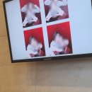 대구 엠스타하우스 모닝스타홀 본식 웨딩포토테이블 출장 후기, 프레젠트로하