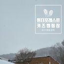 충북 괴산 원더포레스트 키즈캠핑장 : A-01 온수수영장 찐 추천