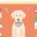 수색동물병원 이미지