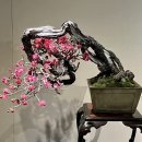 三行 三止(삼행 삼지) 이미지