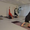 하타요가 이미지