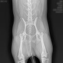 (주)라온메디칼 이미지