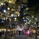 노벨세탁소 이미지